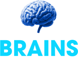 Brains Marketing